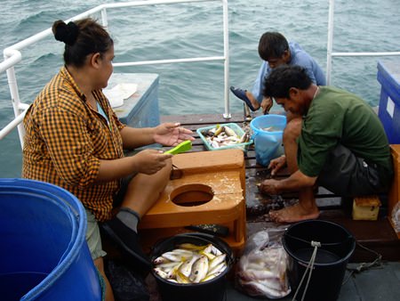 Dang helps the boat crew clean her monster catch.
