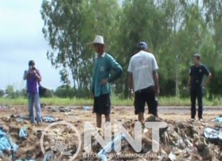 Investigation launched on rotten and burnt rice cases in Phitsanulok
