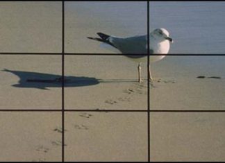 Rule of Thirds.