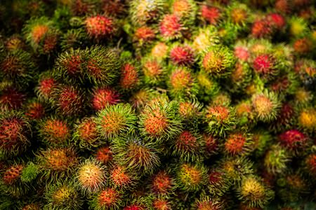 Visitors can feast on rambutans at the orchard.