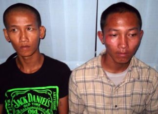 Sakda Bannasan and Weerayuth Thongsukh have been arrested on theft charges.