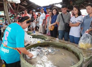 Seafood sales in Rayong are now so brisk, people have to line up to buy crab before it’s sold out.