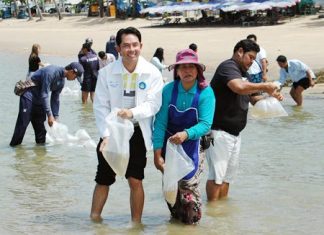 Pattaya releases 200,000 shrimp into sea Mayor Itthiphol Kunplome and representatives from the Chonburi Fishing Department and Small Fishermen Club release shrimp into the sea off Jomtien Beach.