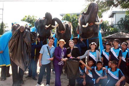 Elephants enlist the locals to help clean up the area outside Nong Nooch Tropical Garden.