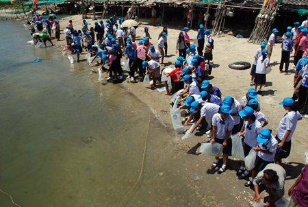Rayong’s Fishing Department enlisted school children, local residents and local officials to help them release more than 7 million shrimp, crabs and fish into the sea.
