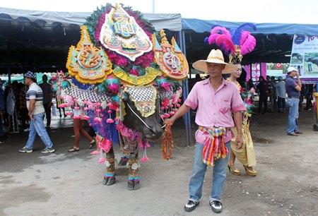 The annual festivities also include a buffalo costume contest.