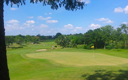 Glorious Greenwood, as pretty as it gets.