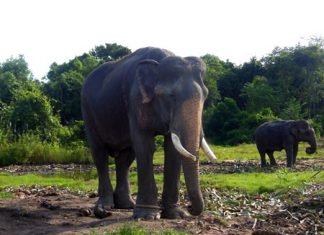 The head master is so happy.