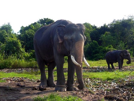 The head master is so happy.