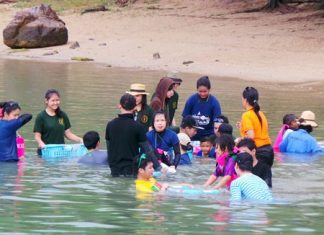 Navy wives are helping disabled children lead better lives, starting with letting them work with sea turtles in Sattahip.