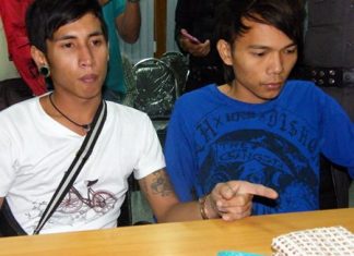 Pheeranat Ditbanjong and Surasak Bunsaeng have been arrested for bag snatching.