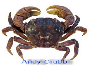 The ‘Deadliest Catch’.