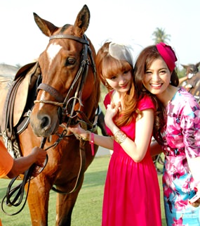 The horses are always the center of attention.