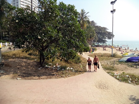 Plastic bags litter the area near the beach, whilst not far away, there is a smelly bush area being used as a public toilet.