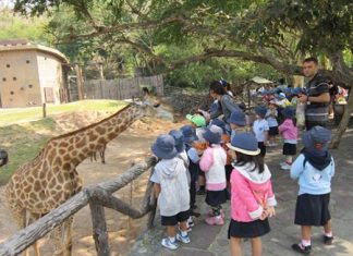 GIS students had the chance to feed a giraffe.