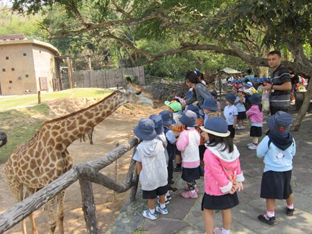 GIS students had the chance to feed a giraffe.