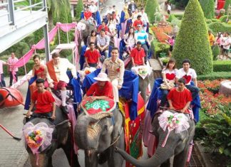 A hundred couples made their wedding vows extra special by reciting them on the backs of elephants on Valentine’s Day at Nong Nooch Tropical Garden.