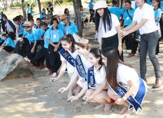 Top finishers in November’s Miss Mimosa Queen transvestite beauty pageant make merit by releasing sea turtles into the wild.