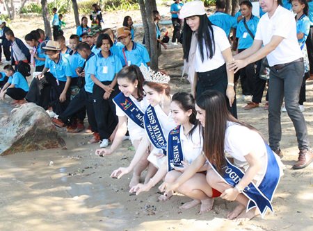 Top finishers in November’s Miss Mimosa Queen transvestite beauty pageant make merit by releasing sea turtles into the wild.