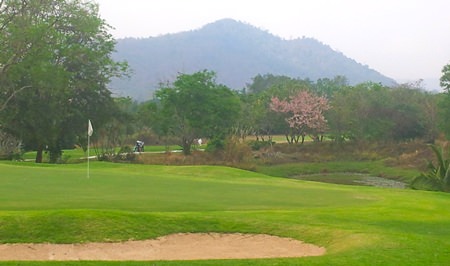 A pretty Pattavia is back on track.