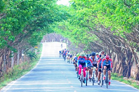 In some places the scenery is absolutely stunning, including this tree tunnel near the Thai Polo field.