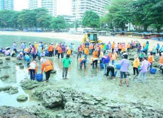 City workers take a day at the beach - not to bask in the sun, but to clear away the algae covered rocks.