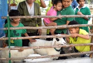 It is amazing how calm the children seem as they interact with the animals and feed them.
