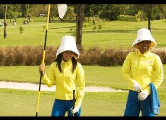 Caddies – any infringement is your infringement.