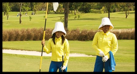 Caddies – any infringement is your infringement.