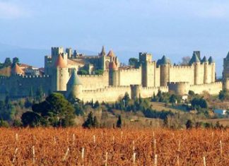 Carcassonne: The town among the vines.