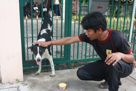 3-year-old Jojo was impaled are he got out of the house and tried to jump the fence.