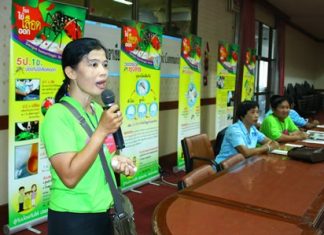Disease prevention and control chief Anya Jantrakas leads the community-based Surveillance and Rapid Response Team in a training seminar.