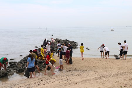 Children are certainly having fun with their day out, cleaning the beach.