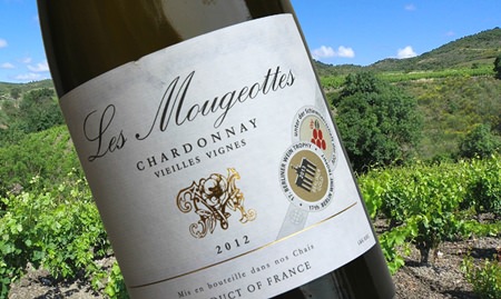 Background photo: Languedoc vineyards (Richard Randall).