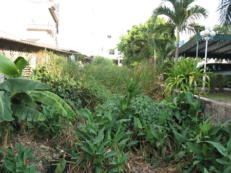 A good place to start would be to dredge local canals, such as this one crossing under Pratamnak Road in South Pattaya, and keep them clear so as not to obstruct water runoff.