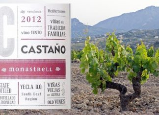 Old vines at Benissa, Spain (Randi Hausken)