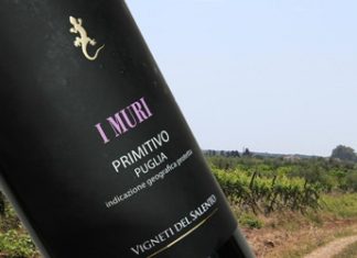 Background: Vineyards near Castellaneta, Puglia. (Photo: drdcuddy)