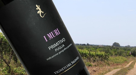 Background: Vineyards near Castellaneta, Puglia. (Photo: drdcuddy)