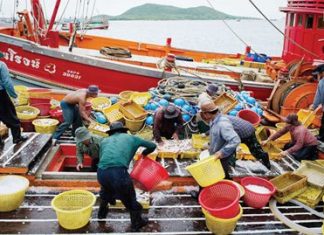 NCPO sets up foreign labor sub-committee