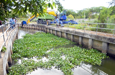 City workers use a backhoe to clear hyacinth out of the Nang Yang canal in Naklua.