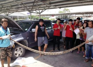 A crowd gathers to watch as this 3-meter-long python is finally extricated from its temporary home inside a Makro customer’s pickup.