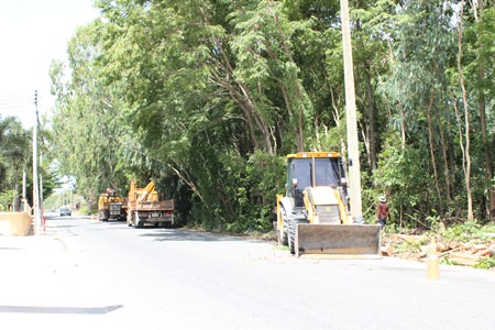 Nongprue Public Work Division employees trim trees in the vicinity of power lines along Pattabakarn Road.