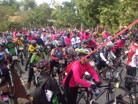 Over 50 bicyclists crowd the starting line.
