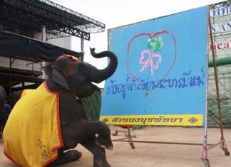 Yok draws the phrase “Elephants survive by the grace of the mother of the land” along with a heart and jasmine, the symbol of Mother’s Day.