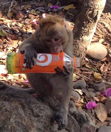 This little one hasn’t quite mastered the method for drinking out of a plastic bottle.