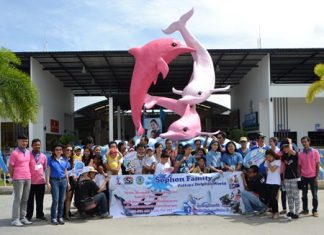 Sophon Cable TV thanked its customers by treating them to a dolphin show in Pattaya.