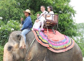 Father Peter arrived on top of an elephant.