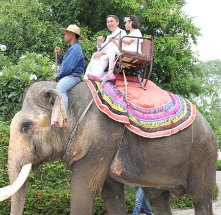 Father Peter arrived on top of an elephant.