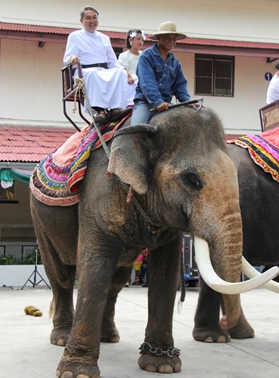 The children liked seeing the elephants, but were very impressed when it decided to open its bowels.