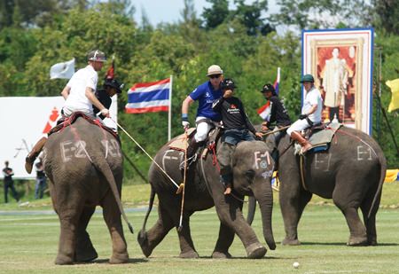 Enjoy 4 days of King’s Cup Elephant Polo at the VR Sport Club in Samut Prakan from Thursday, August 28 - Sunday, August 31. (Photo/Anantara Hotels)
